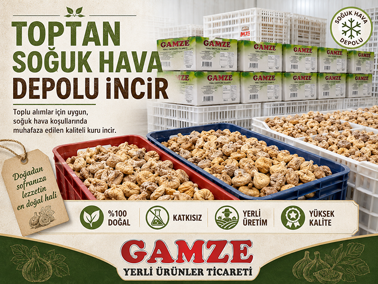 Toptan Soğuk Hava Depolu İncir