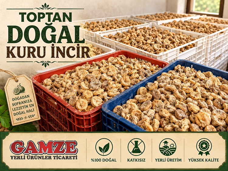 Toptan Doğal Kuru İncir