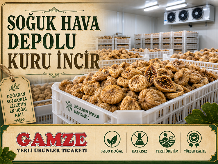 Soğuk Hava Kuru İnciri