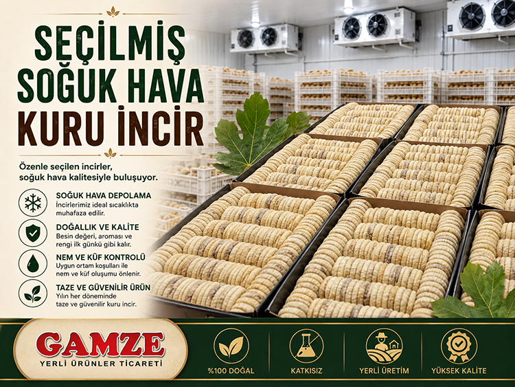 Seçilmiş Soğuk Hava Kuru İncir
