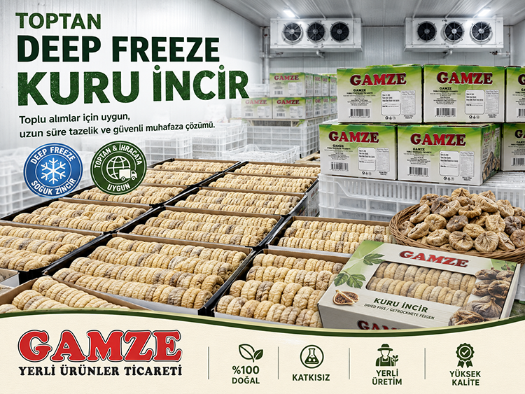 Toptan Deep Freeze Kuru İncir